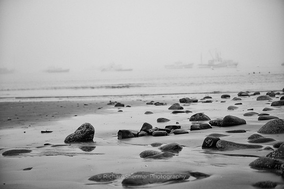 Low Tide