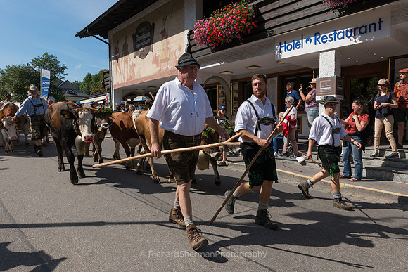 Bavarian Herdsmen