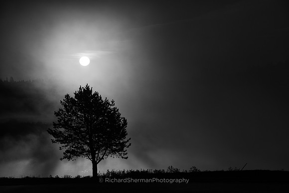 Breaking Through the Fog, BW