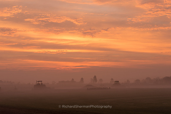 Jersey Farm