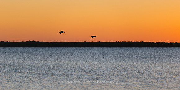 Between Orange and Blue Flies Two, Panorama