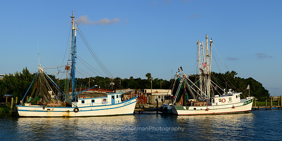Carolina Shrimpers, Panorama