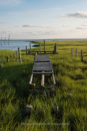 New Jersey Marsh 1