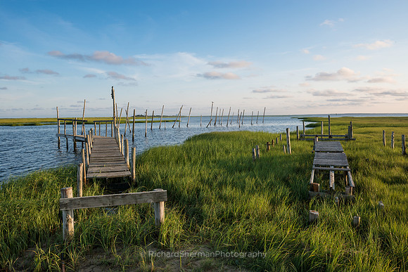 New Jersey Marsh 2