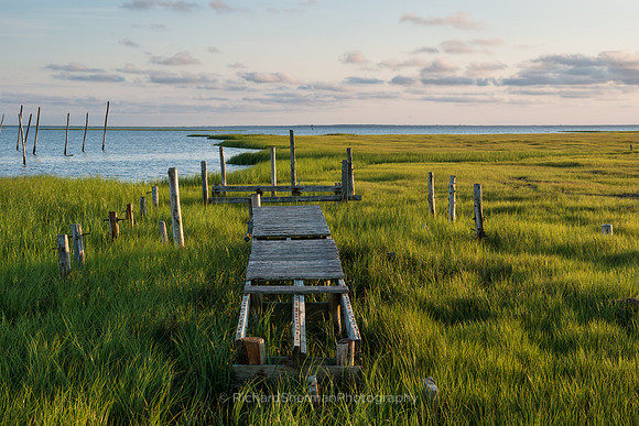 New Jersey Marsh 3
