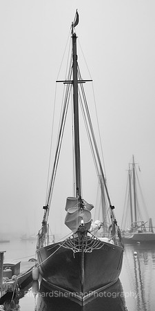 Waiting for The Fog to Clear BW