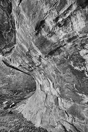 Oak Creek Canyon Ledge BW