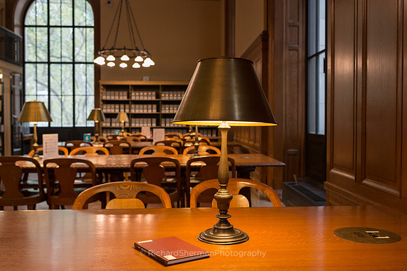 New York Public Library Lamp 1