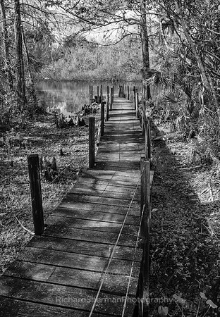 Boardwalk to Nowhere