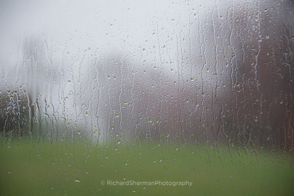 Spring Rains