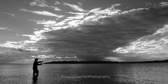 Fly and Sky, Panorama