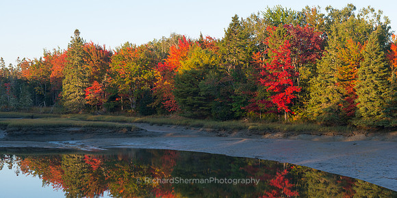 Maine Fall, Pano
