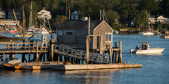 Return to Harbor