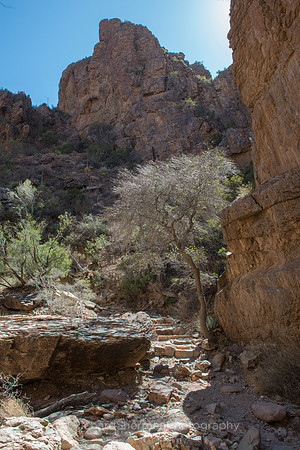 Path Through the Desert
