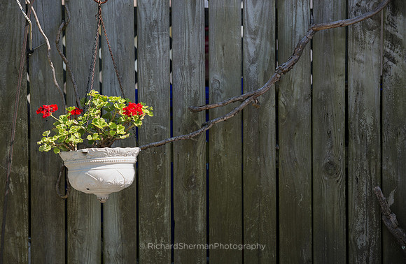 Flower Wave