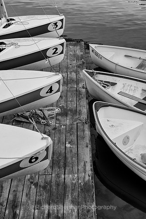 Lined Up BW