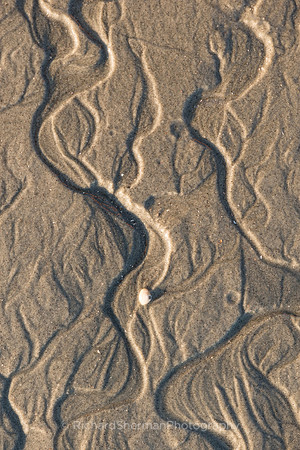 Tide's Out