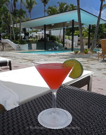 Poolside Pleasure