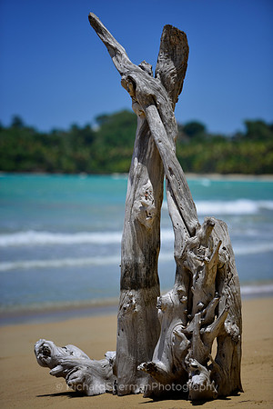 Natural Sculpture