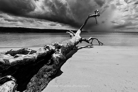Laying Before The Sea