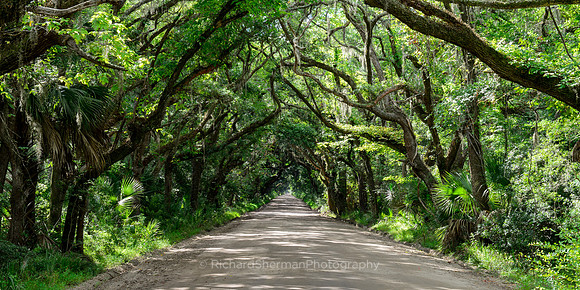 Carolina Road, Panorama
