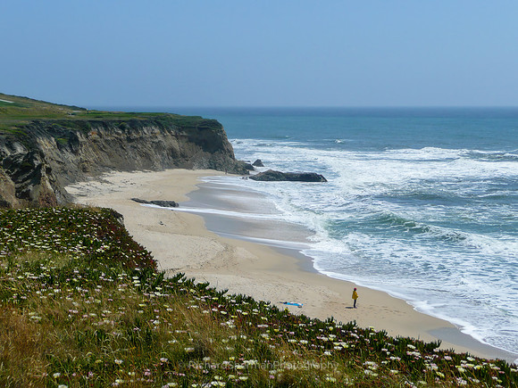 Half Moon Bay