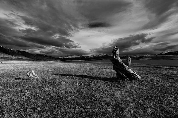 Late Autumn BW, Patagonia