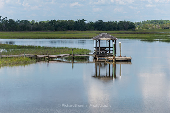 Marsh Reflections
