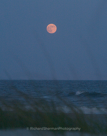 Moonrise over Carolina