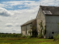 Homes and Farms