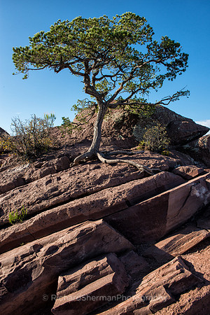 Clinging to the Mountain, Vertical